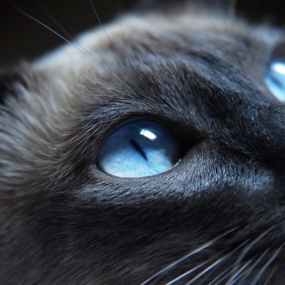 1920 x 1080 HD Wallpapers 1769